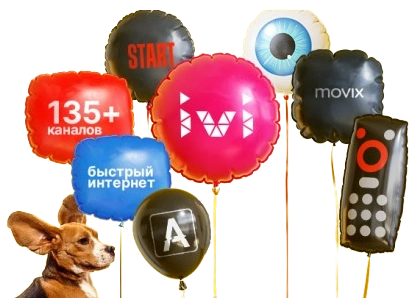 Услуги Дом.ру в посёлок Нетьинка